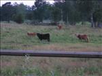Sweden 2006-07 227